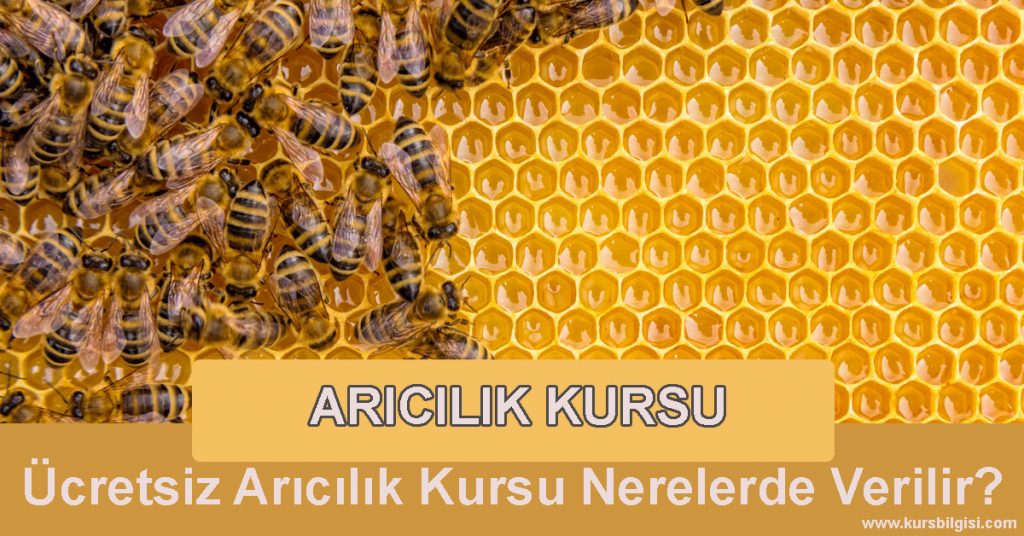 arıcılık-kursu