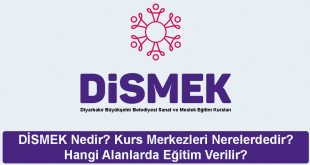dismek