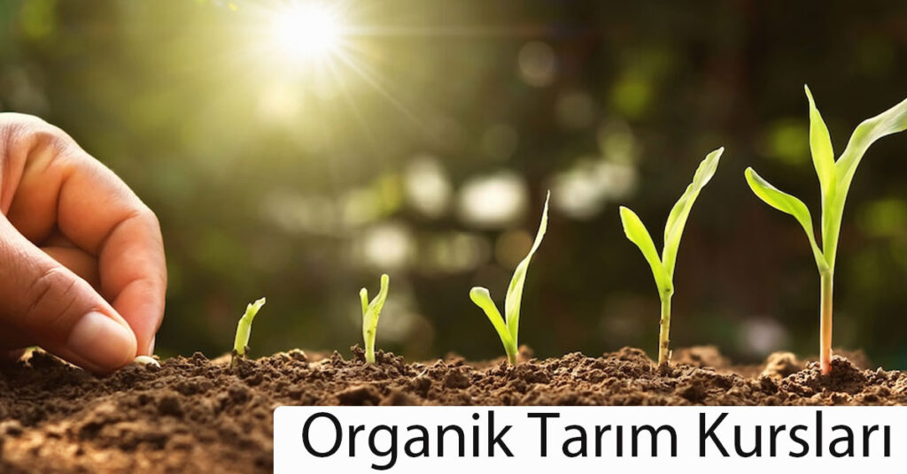 organik tarim kurslari