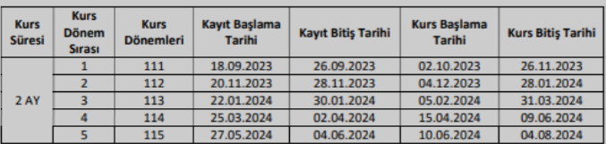 2 aylik kurs